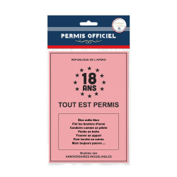 PERMIS 18ANS "TOUT EST PERMIS"