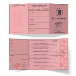 PERMIS 18ANS "TOUT EST PERMIS"