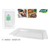 PLATEAU PLAS RECT. TRANSPARENT 46X28cm