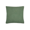 COUSSIN ADRIEN VERT 40X40CM 100% PE