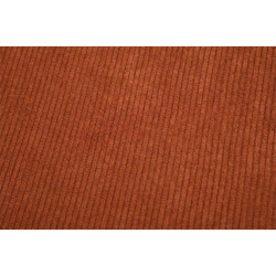 COUPON ANTONIN ROUX 50X70CM VELOURS COTE