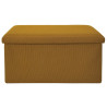 COFFRE BANC PLIABLE ATOME JAUNE COFFRE BANC PLIABLE ATOME JAUNE