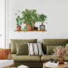 STICKER ETAGERE PLANTES CHAT 50X70 STICKER ETAGERE PLANTES CHAT 50X70