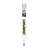 STICKER ETAGERE PLANTES CHAT 50X70