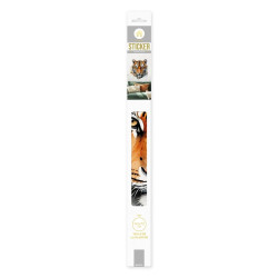 Sticker Mural Tigre 50x70 cm