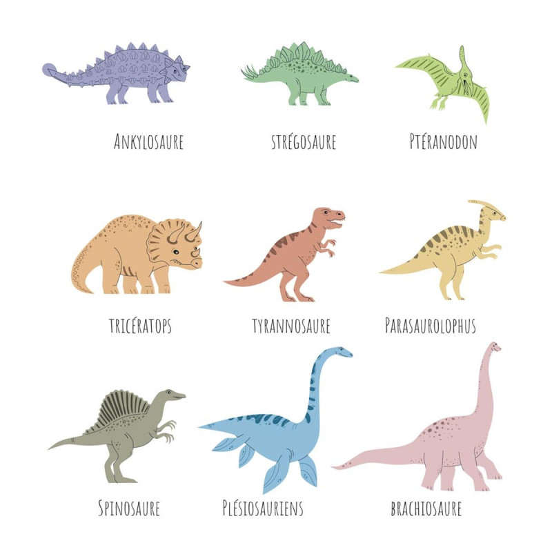 STICKER DINOSAURES NOMS 20X70