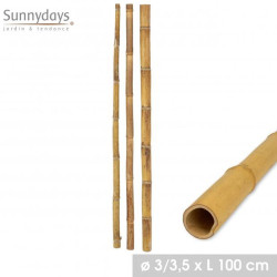 Poteau en Bambou - Diamètre 3-3,5cm x Hauteur 100cm