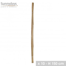 TUTEUR EN BAMBOU X10 H150CM X D10-12MM