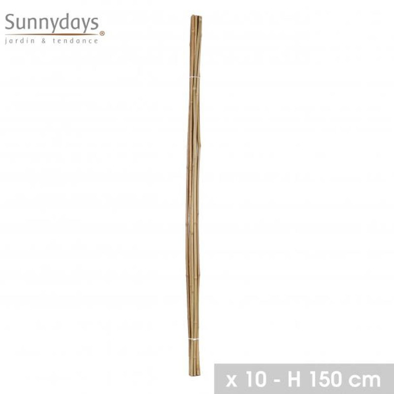 TUTEUR EN BAMBOU X10 H150CM X D10-12MM