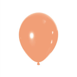 BALLONS PECHE X20
