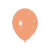 BALLONS PECHE X20 BALLONS PECHE X20