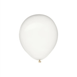 BALLONS TRANSPARENT X20