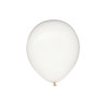 BALLONS TRANSPARENT X20