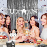 RIDEAU FRANGES PARTY ARGENT RIDEAU FRANGES PARTY ARGENT