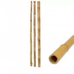 POTEAU EN BAMBOU D3-3,5CM X...
