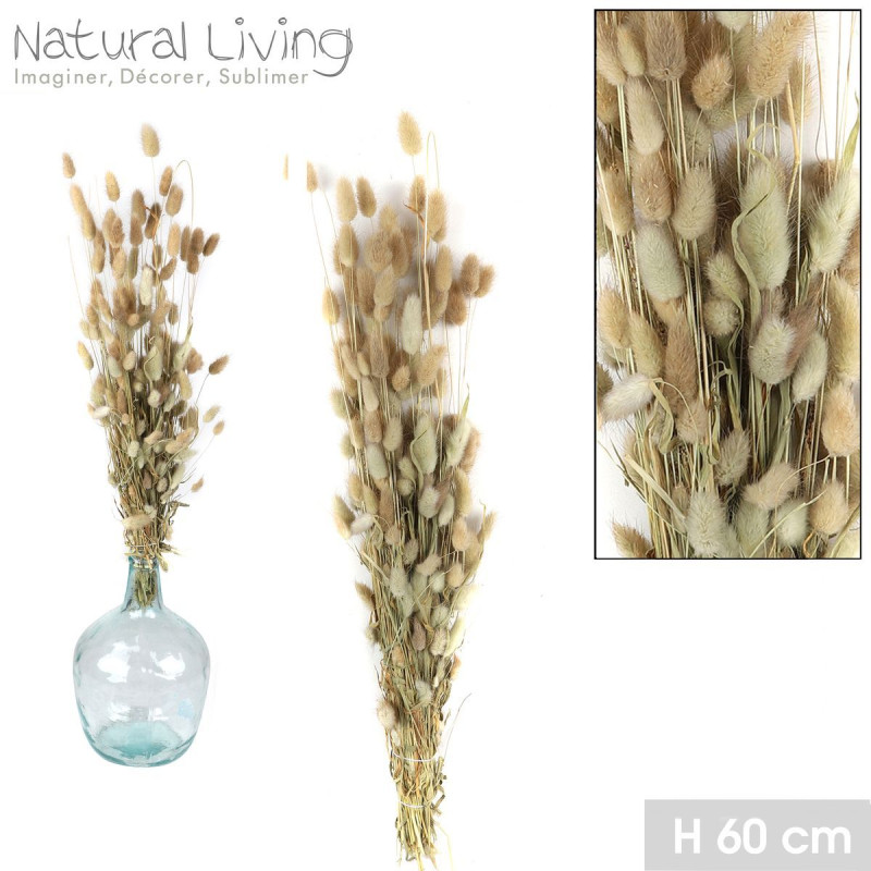 "NATURAL LIVING" LAGURUS NATUREL H60CM