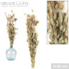 "NATURAL LIVING" LAGURUS NATUREL H60CM