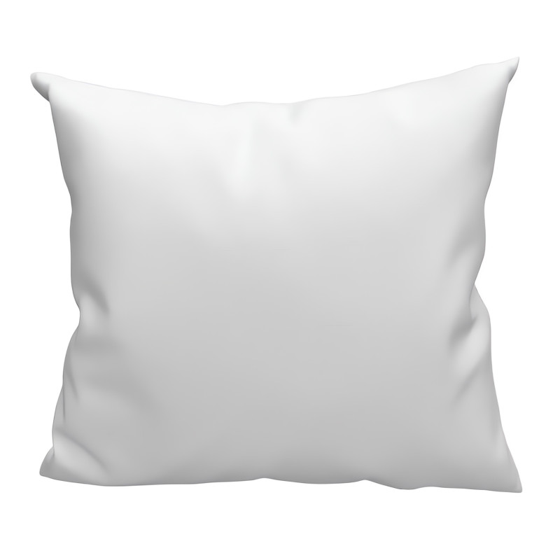 OREILLER 65X65 NATURA COTON BIO