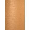 RIDEAU POLAIRE HARVARD MOUTARDE 140X260 RIDEAU POLAIRE HARVARD MOUTARDE 140X260