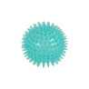 Jouet Dentaire Balle à Picots en TPR - D6,5cm Bleu