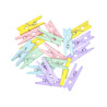 Pinces coul pastel 2,5cmx50pcs