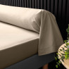 TAIE TRAVERSIN PERCALINE SABLE 85x185CM