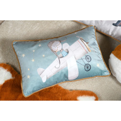 COUSSIN FERDINAND VERT 30X50