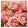 SERV. X20 EN PAPIER PINK ROSES 33X33CM