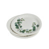 ASSIETTES X10 EN CARTON EUCALYPTUS D23CM