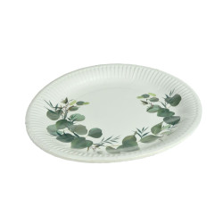 ASSIETTES X10 EN CARTON EUCALYPTUS D23CM