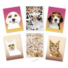 Tableaux stickers numéro X2 A4 chien/cha