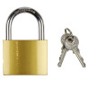 CADENAS DE SECURITE A CLE H8.6CM