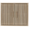 ARMOIRE MURALE KLAUS L60XH50XP20CM