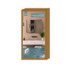 ARMOIRE MURALE KLAUS L60XH50XP20CM