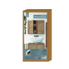 ARMOIRE MURALE BALI L60XH50XP20CM
