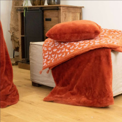COUSSIN DELICATESSE 50X50 BRIQUE