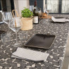 NAPPE GINKGO CAVIAR 200X150 ENDUITE NAPPE GINKGO CAVIAR 200X150 ENDUITE