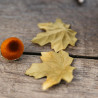 6 Glands Velours Ambre et Paillettes Or