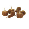 6 Courges Ass Velours Pistache et Or Ø3,