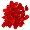60 Pétales Velours Rouge et Paillettes O