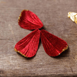 60 Pétales Velours Rouge et Paillettes O