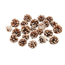 Pommes de Pin Naturelles Enneigées de 4