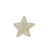 SUSP ETOILE PAILLETTE POLYFOAM 14X13CM
