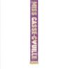 ECHARPE MISS CASSE COUILLE DORE PAILLETT