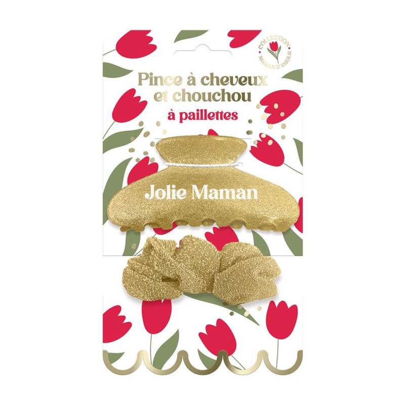 PINCE CHEVEUX ET CHOUCHOU A PAILLETTTES