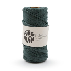 PINGO MAKER GLOSS VERT BOUTEILLE