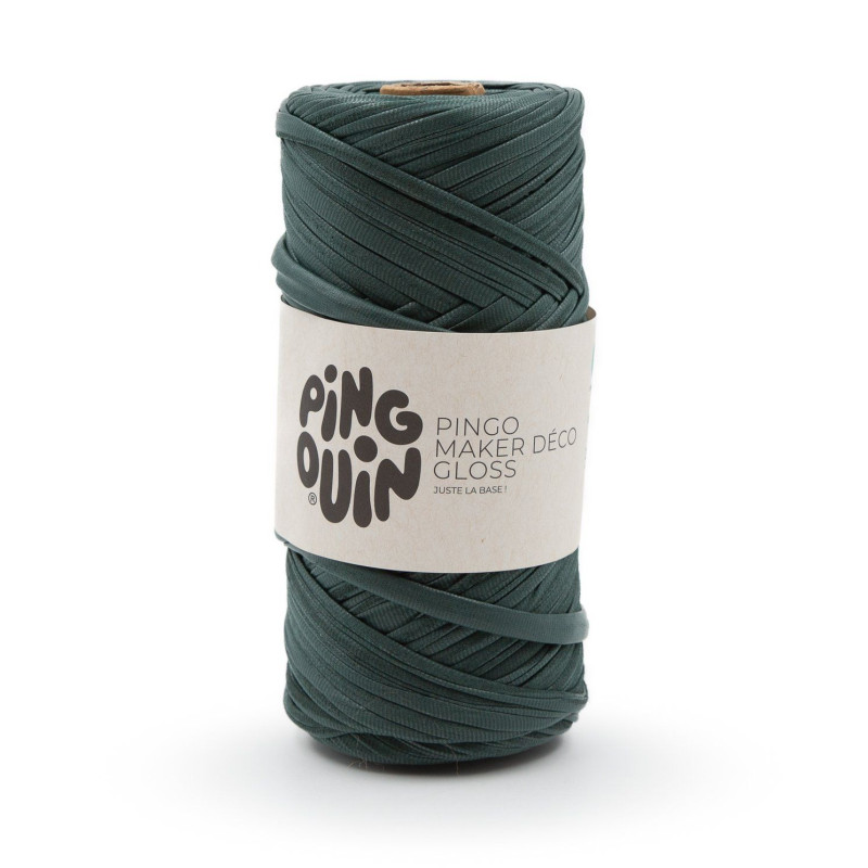 PINGO MAKER GLOSS VERT BOUTEILLE