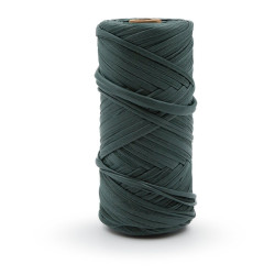PINGO MAKER GLOSS VERT BOUTEILLE
