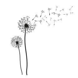 STICKER FLEURS DE PISSENLIT