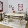 TABLE EXTENSIBLE 6 A 8 PERS TERRA NOVA